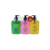 500 Ml Soft N Cool Hand Wash Liquid (Offer Pack)